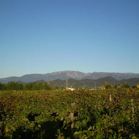 Col Delle Rane 4*